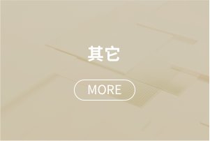 论文交流和补习班